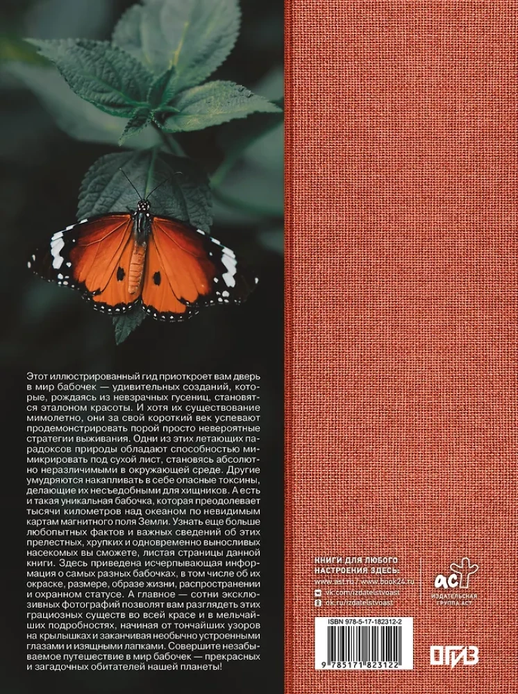 Butterflies