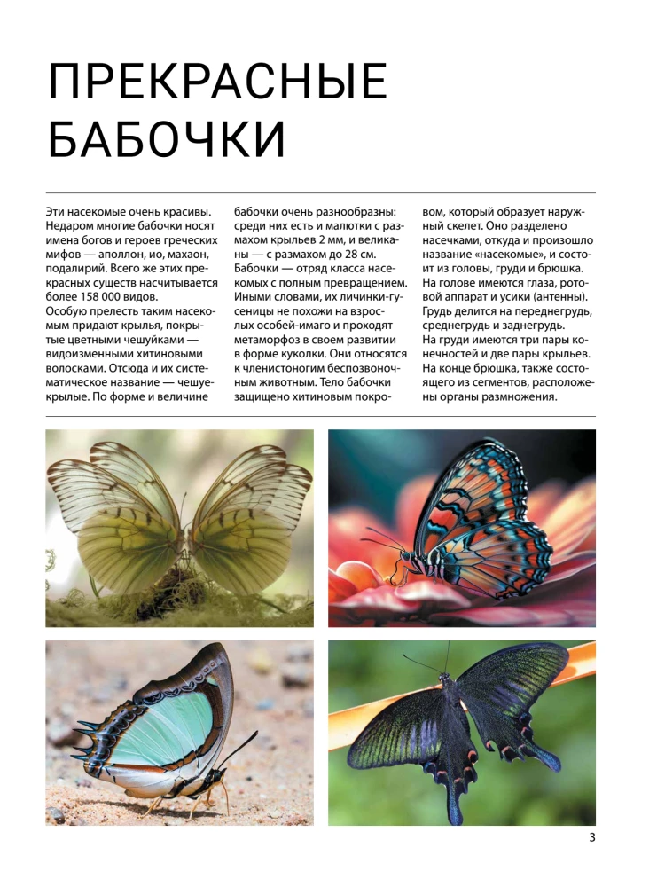 Butterflies