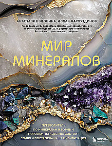 Мир минералов. Путеводитель по минералам и горным породам, из которых состоит Земля и построена наша цивилизация