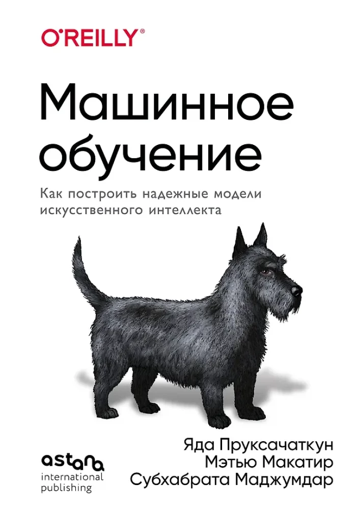 Uczenie maszynowe. Jak zbudować niezawodne modele sztucznej inteligencji