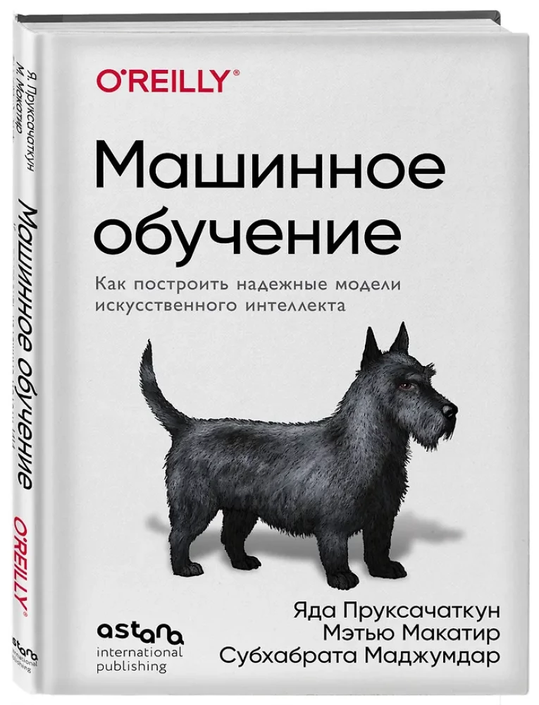 Uczenie maszynowe. Jak zbudować niezawodne modele sztucznej inteligencji
