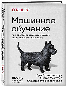 Uczenie maszynowe. Jak zbudować niezawodne modele sztucznej inteligencji