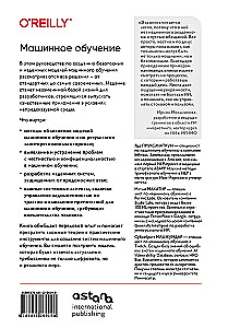 Uczenie maszynowe. Jak zbudować niezawodne modele sztucznej inteligencji