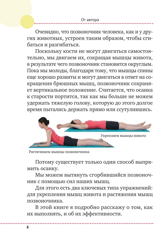 Every Curve Matters. Japanese Method for Posture and Spine Health Recovery