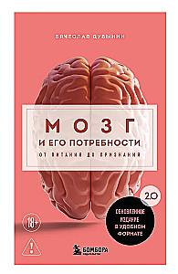 Мозг и его потребности. 2.0 от питания до признания