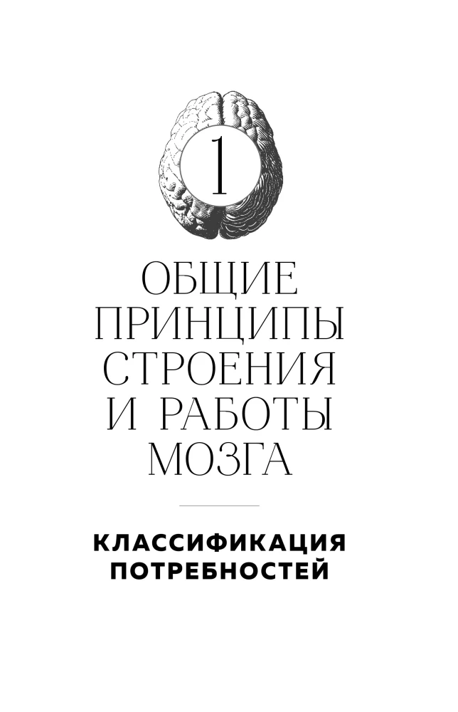 Мозг и его потребности. 2.0 от питания до признания