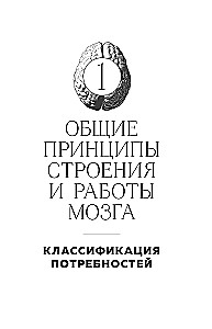 Мозг и его потребности. 2.0 от питания до признания