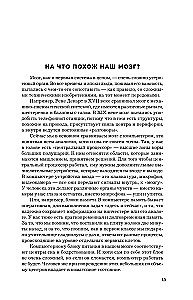Мозг и его потребности. 2.0 от питания до признания