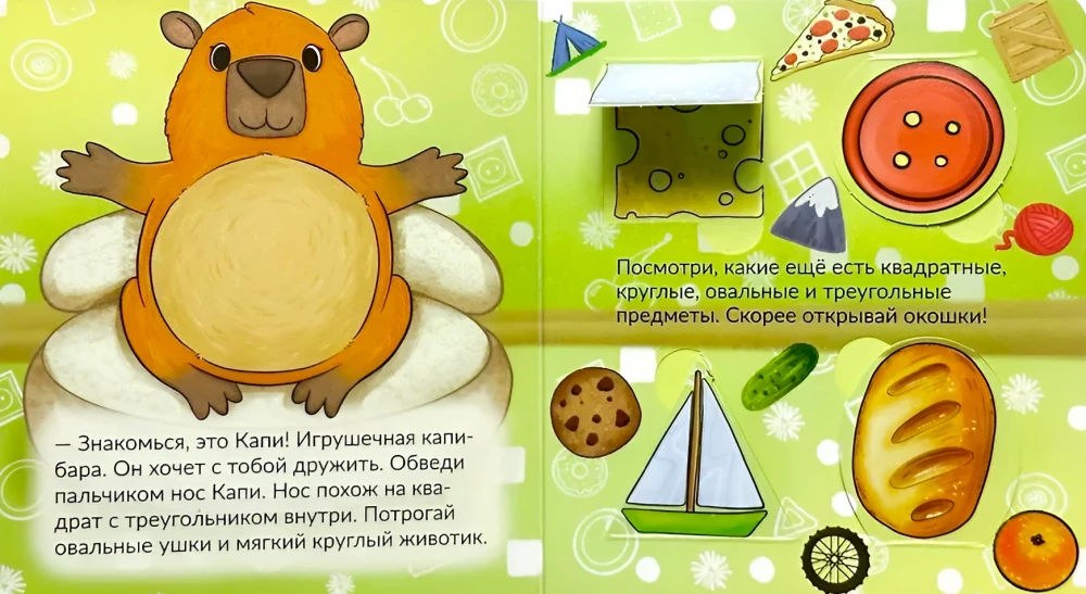 Kapibara Kapi