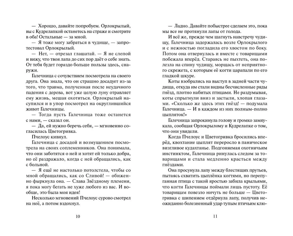 Kriegerkatzen. Sammlung. Ungesagte Geschichten. Das Geheimnis von Motylinka