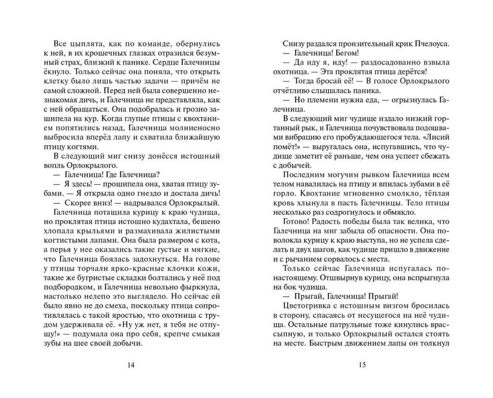 Kriegerkatzen. Sammlung. Ungesagte Geschichten. Das Geheimnis von Motylinka