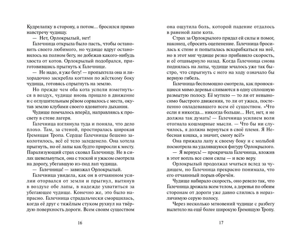 Kriegerkatzen. Sammlung. Ungesagte Geschichten. Das Geheimnis von Motylinka