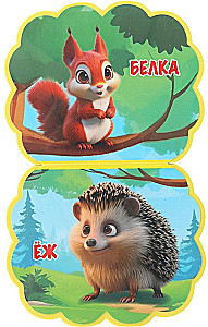 Forest Animals