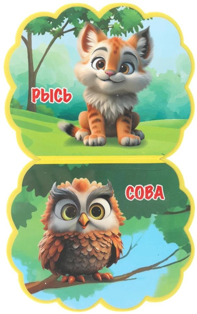 Forest Animals