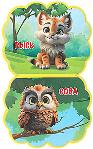 Forest Animals