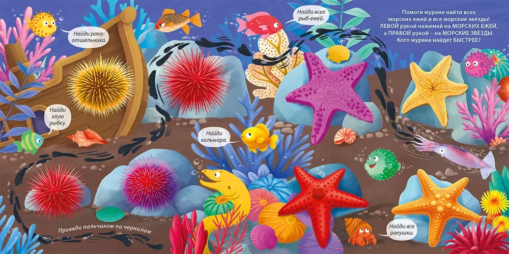 Interesting Bubbles. Underwater World