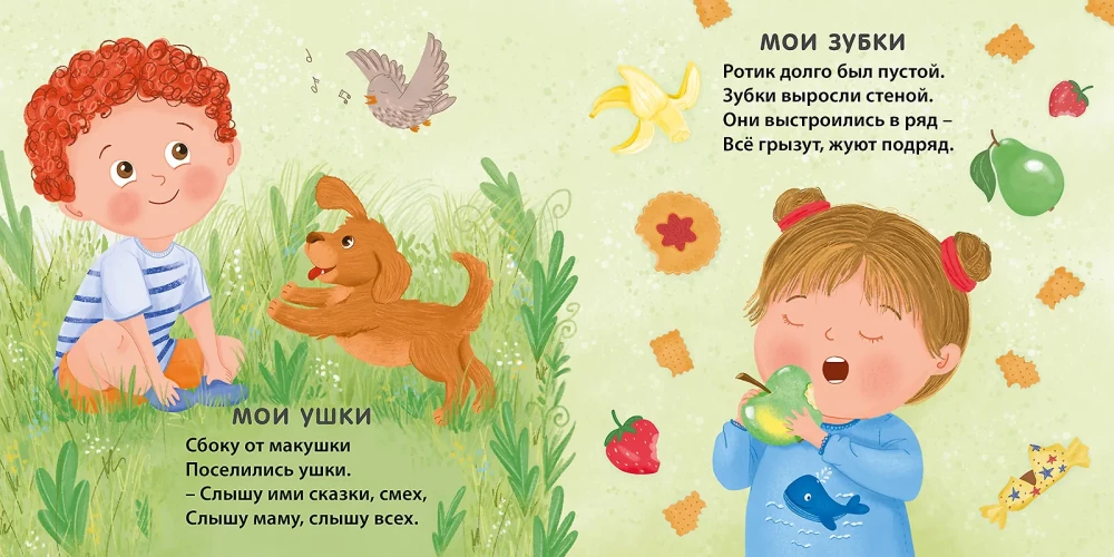 Книжка - картонка. Мое тело с зеркалом