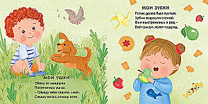 Книжка - картонка. Мое тело с зеркалом