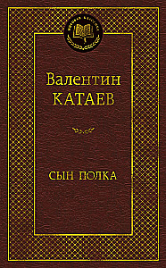 Karininko sūnus