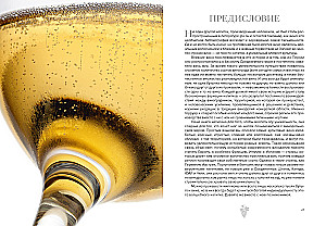 Väike gurmaanide raamat. Vein