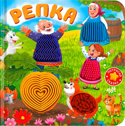 Die Rübe