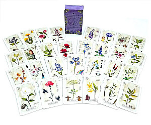 Schamanisches Orakel der Blumen und Kräuter. Deck verstärkt mit Runen und geheimen Zeichen. 48 Karten