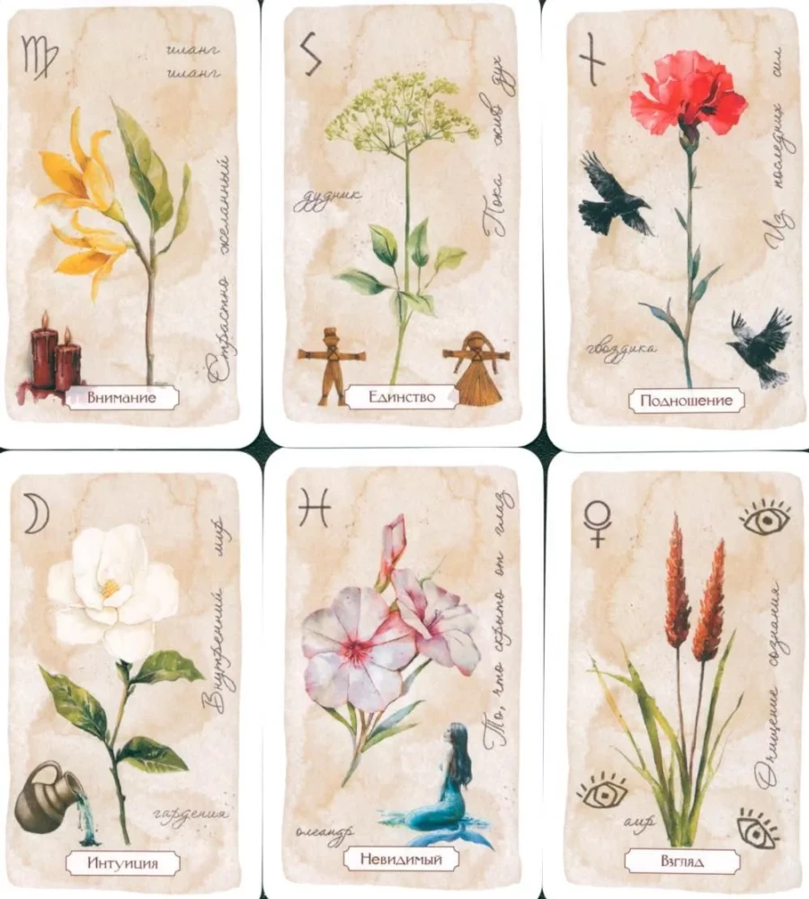 Schamanisches Orakel der Blumen und Kräuter. Deck verstärkt mit Runen und geheimen Zeichen. 48 Karten