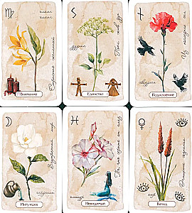 Schamanisches Orakel der Blumen und Kräuter. Deck verstärkt mit Runen und geheimen Zeichen. 48 Karten