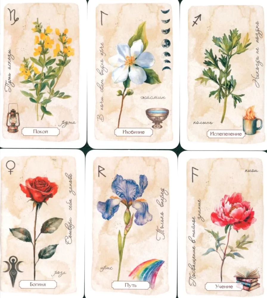 Schamanisches Orakel der Blumen und Kräuter. Deck verstärkt mit Runen und geheimen Zeichen. 48 Karten