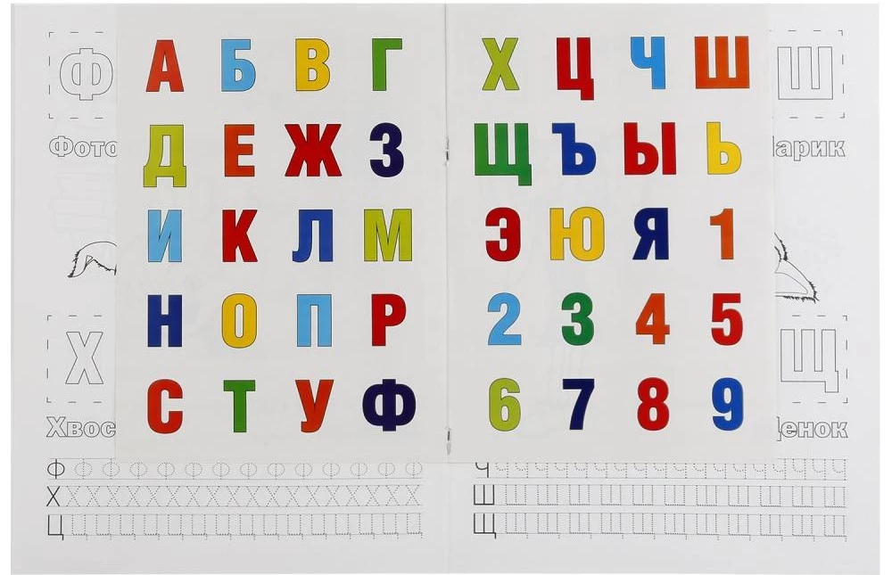 Barboskins. Alphabet und Zahlen