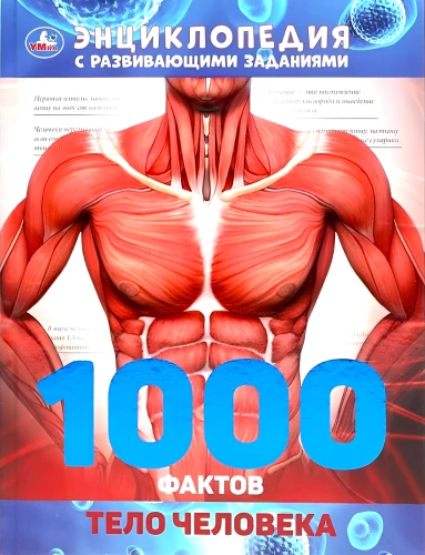 Der menschliche Körper. 1000 Fakten