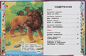 50 ulubionych baśni