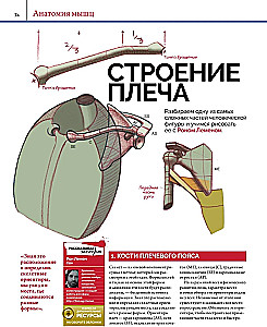 Anatomia. Tworzenie realistycznych ludzi i zwierząt + warsztaty z kodem QR