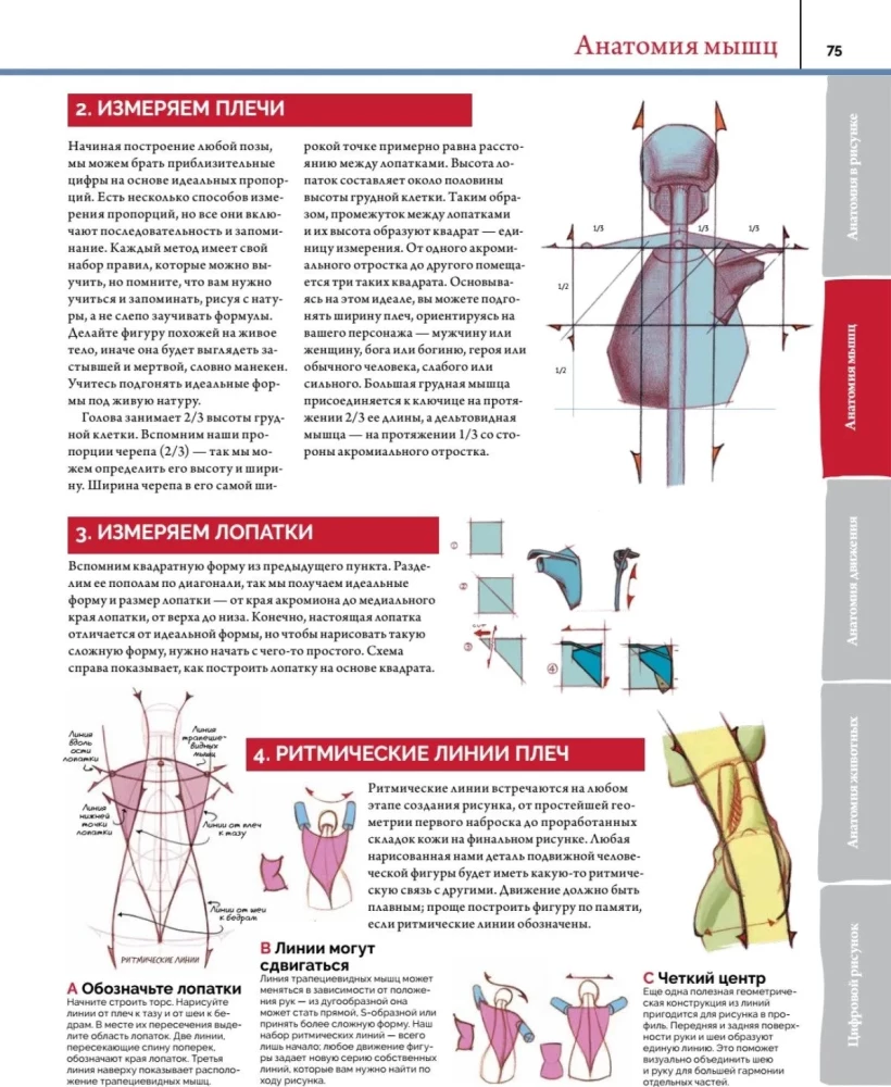 Anatomia. Tworzenie realistycznych ludzi i zwierząt + warsztaty z kodem QR