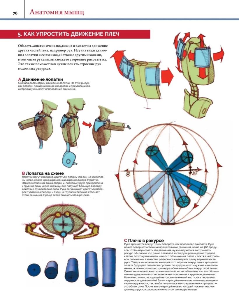 Anatomia. Tworzenie realistycznych ludzi i zwierząt + warsztaty z kodem QR