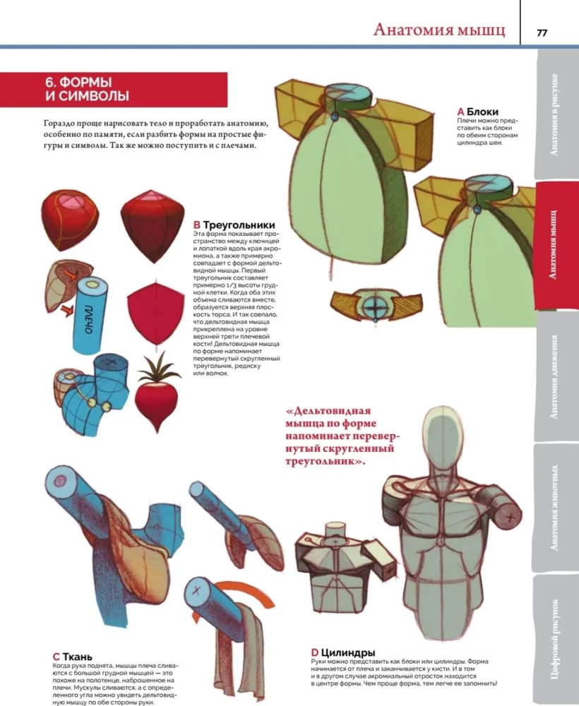 Anatomia. Tworzenie realistycznych ludzi i zwierząt + warsztaty z kodem QR