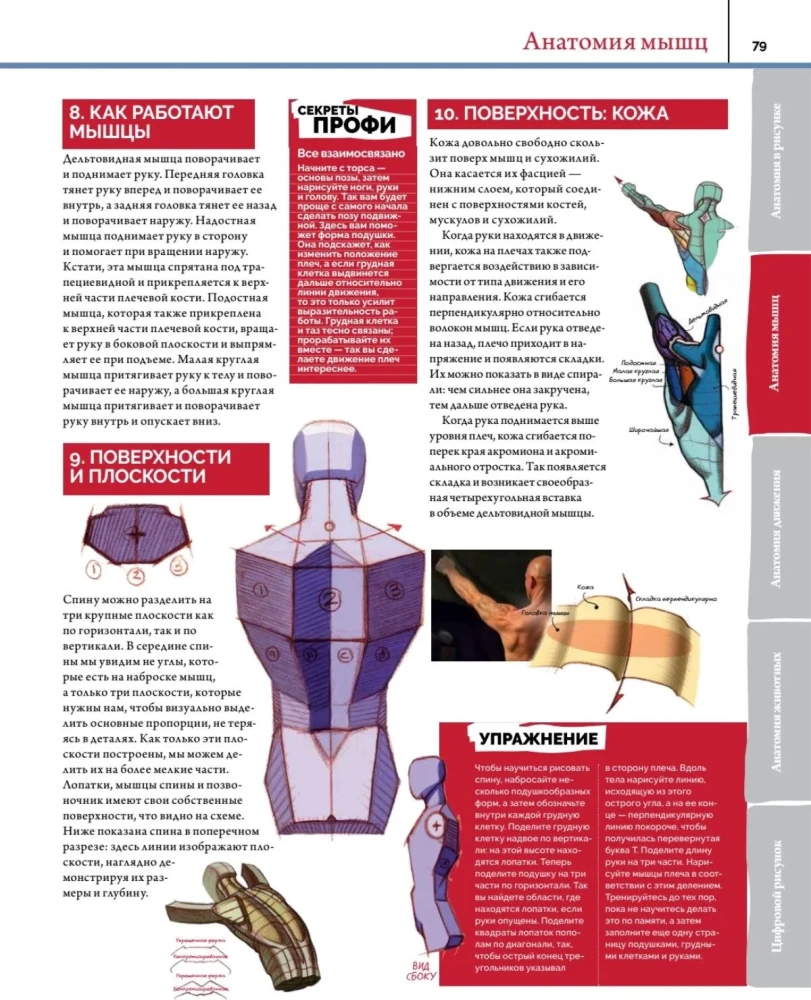 Anatomia. Tworzenie realistycznych ludzi i zwierząt + warsztaty z kodem QR
