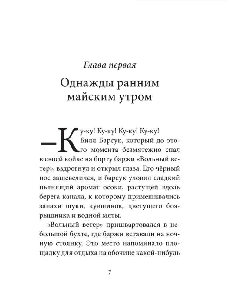 Билл Барсук и пираты