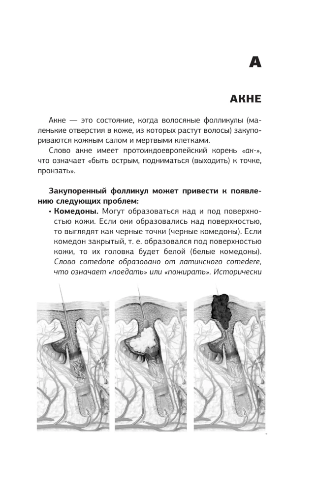 Heilbuch. Anleitung zur Behandlung von Krankheiten ohne Arzt