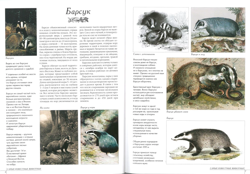 Najbardziej znane zwierzęta