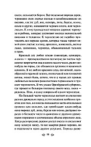 Russischer Wald. Erzählungen russischer Schriftsteller