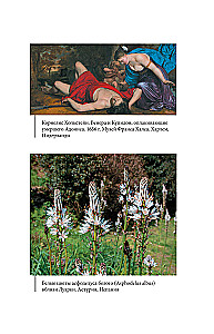 Botanical Myths