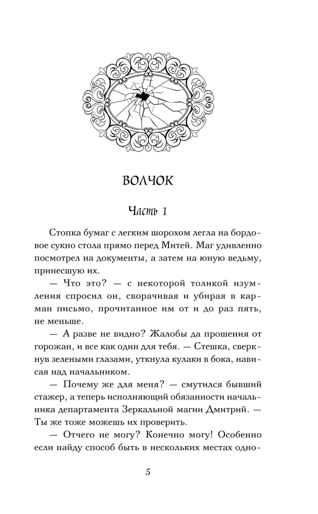 Ловец разбитых отражений