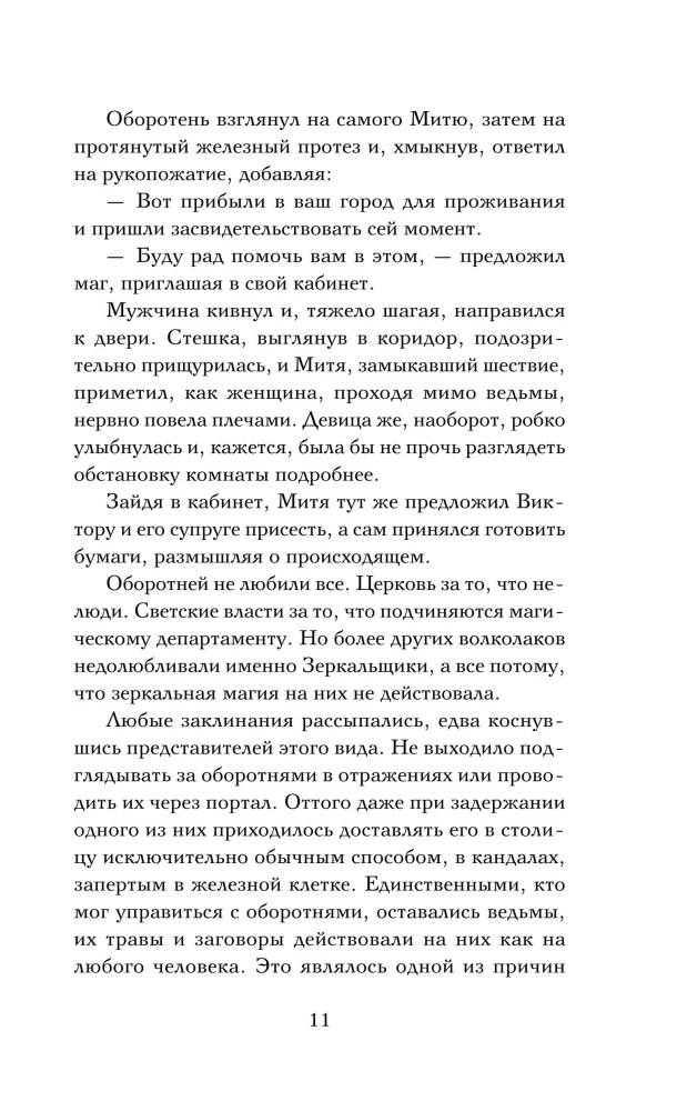 Ловец разбитых отражений