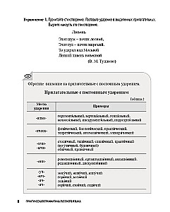 Практическая грамматика русского языка. Книга 2