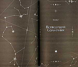 Точка зрения Всеведущего читателя. Том 2