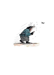 Der Wind in den Weiden