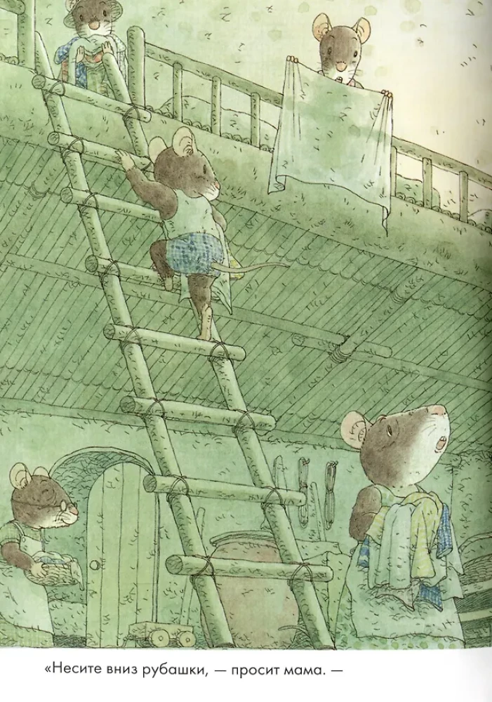 14 Forest Mice. Washing