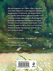 Стрекоза летит на север