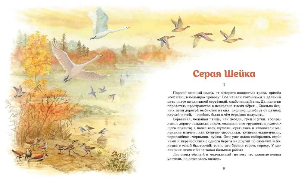 Szara szyjka. Opowiadania